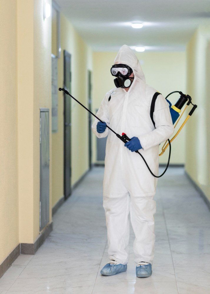 best pest control services in Bhubaneswar