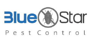 Best Pest Control Services in Bhubaneswar – Blue Star